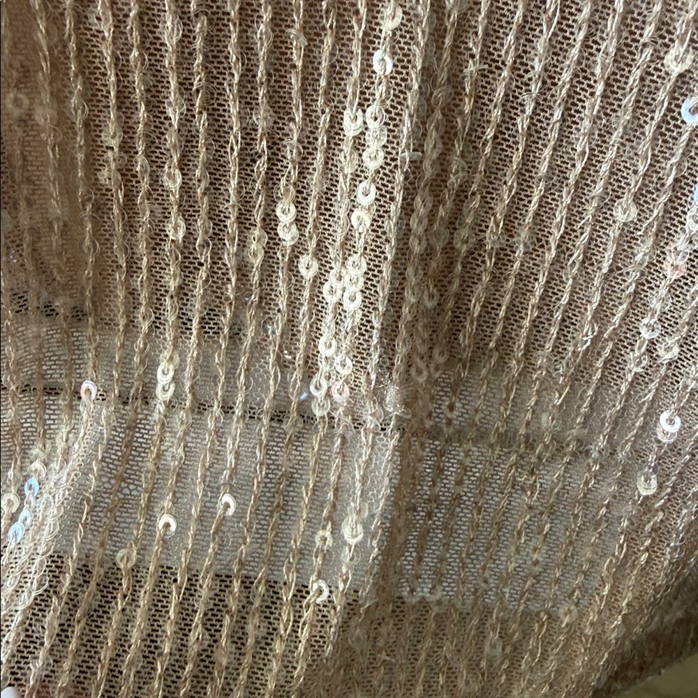 Cable & Gauge Shimmering Beige Sequin Blouse - Picture 2 of 4
